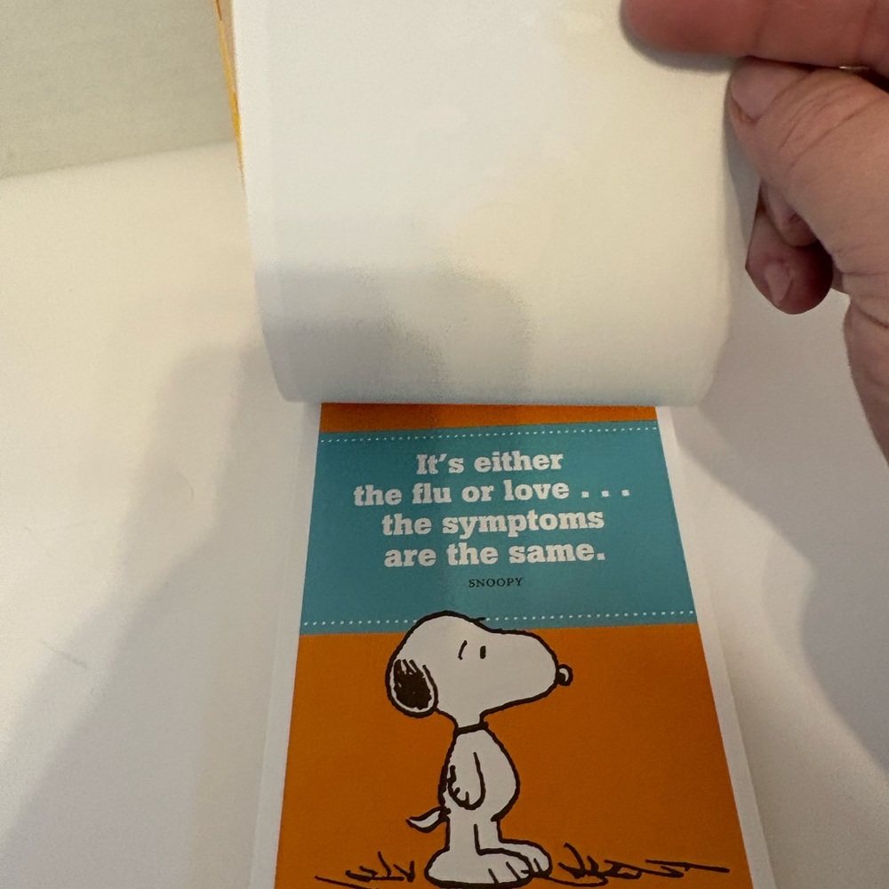 Peanuts Smiles and Blessings perpetual calendar and Notes & Stickers - Picture 4 of 5
